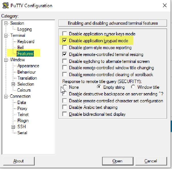 putty-terminal-settings-2